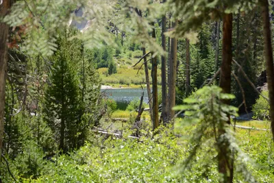 DSC_3575 (Large).JPG